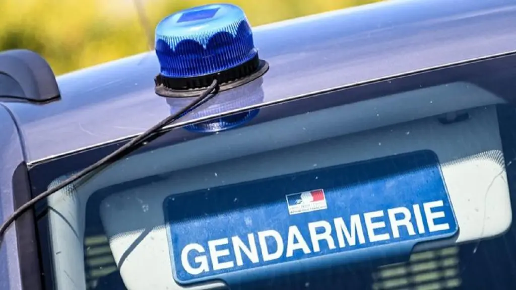 Refus d’obtempérer en France: 35 coups de feu pour arrêter un Algérien