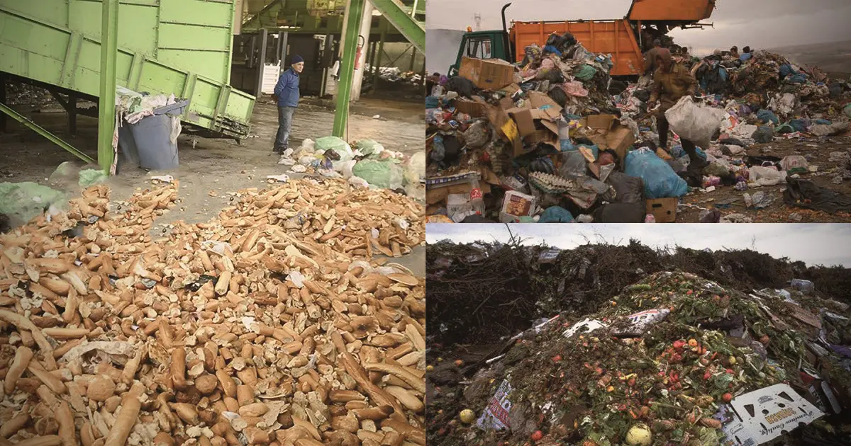 Les Algériens jettent chaque année 900 millions de baguettes de pain