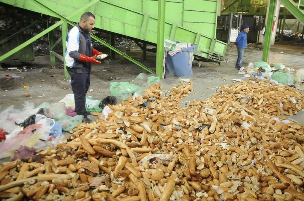 900 millions de baguettes de pain jetées par an : les influenceurs appelés à sensibiliser