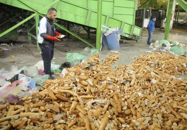 900 millions de baguettes de pain jetées par an : les influenceurs appelés à sensibiliser