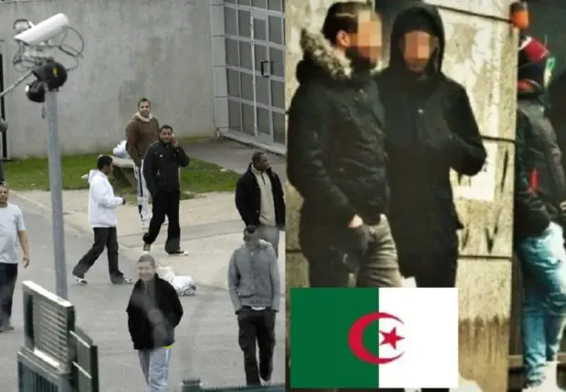 Sans papiers algériens en France: « Enfin une bonne nouvelle » pour 2023