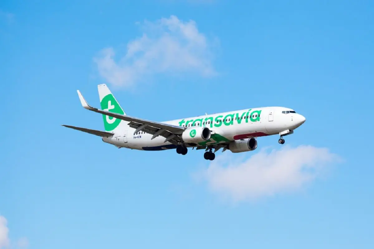 Vols Algérie-France : des billets à partir de 29 euros chez Transavia