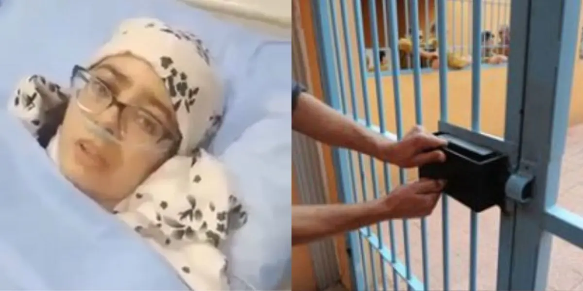 Enseignante poignardée : mandat de dépôt pour le collégien agresseur