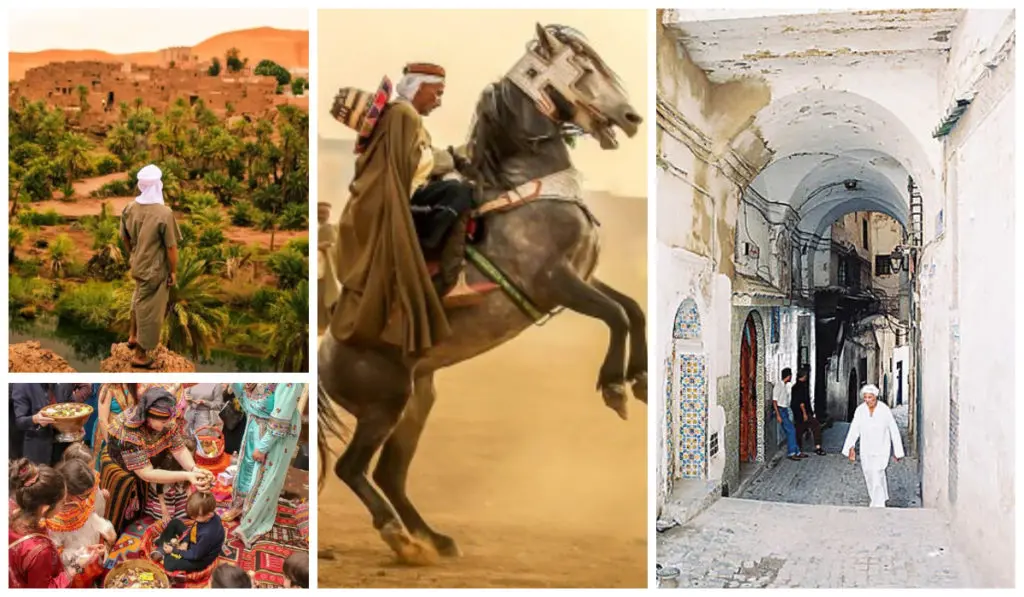 Les cultures les plus influentes : l’Algérie dans le Top 10 africain