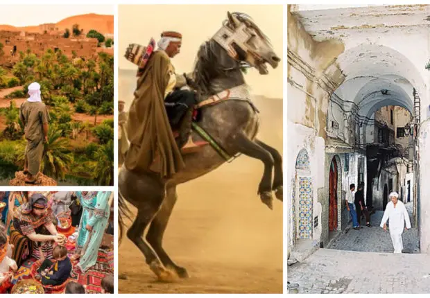 Les cultures les plus influentes : l’Algérie dans le Top 10 africain