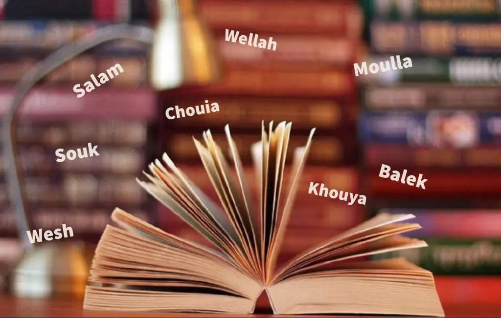 Ces mots typiquement algériens qui ont intégré le vocabulaire français