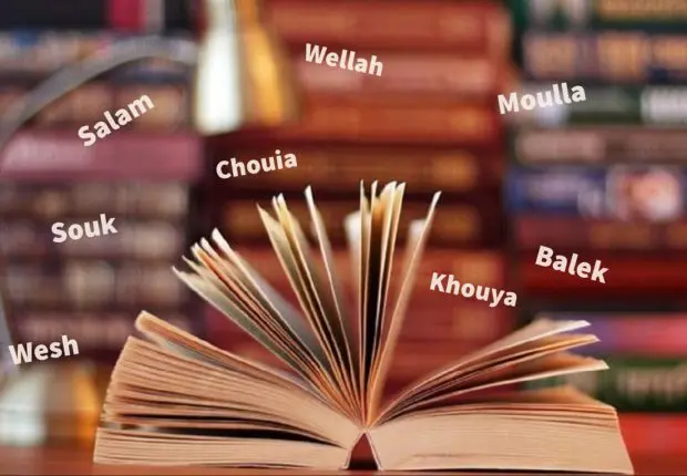 Ces mots typiquement algériens qui ont intégré le vocabulaire français