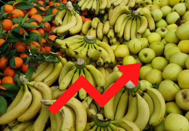 Algérie : à quelques semaines du ramadan, les fruits hors de prix