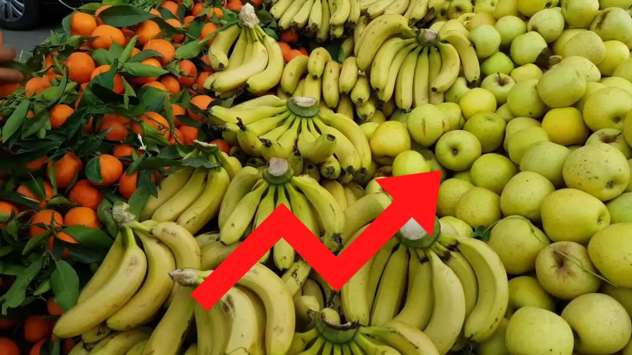 Algérie : à quelques semaines du ramadan, les fruits hors de prix