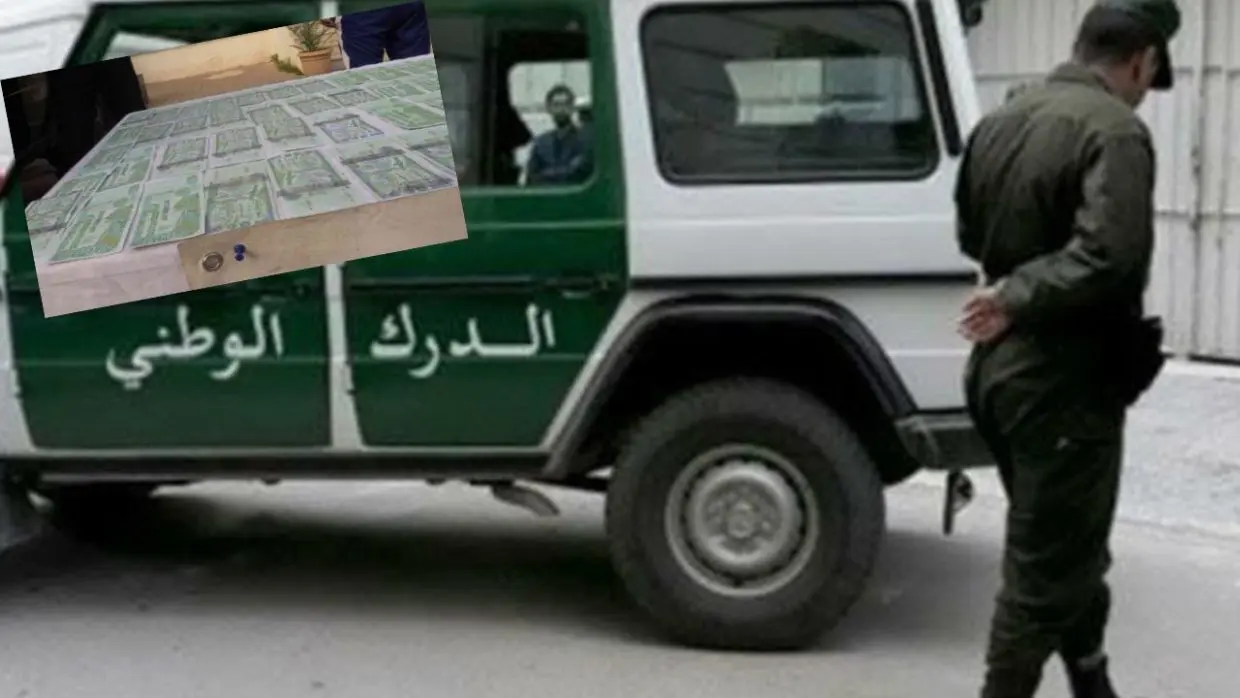 Mila : une importante somme de faux billets saisie près d’un cimetière