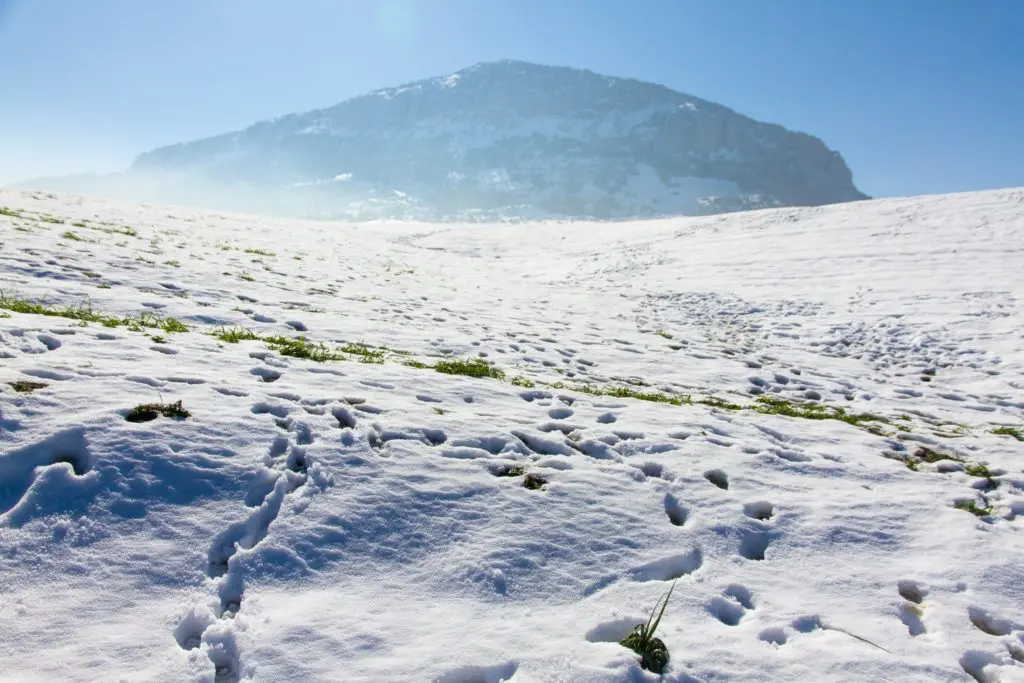 Météo Algérie : la neige et la pluie au rendez-vous ce 20 janvier