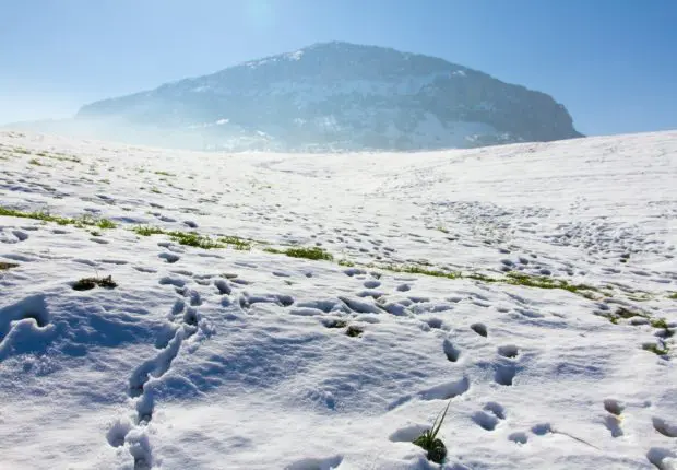 Météo Algérie : la neige et la pluie au rendez-vous ce 20 janvier