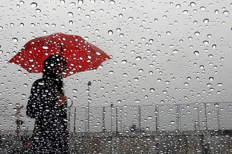 Météo Algérie : la pluie fait son grand retour à partir de demain