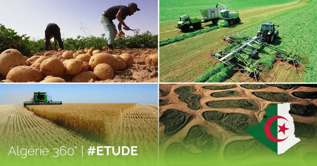 Sécurité alimentaire : l’Algérie pays « modèle » (Forum économique mondial)