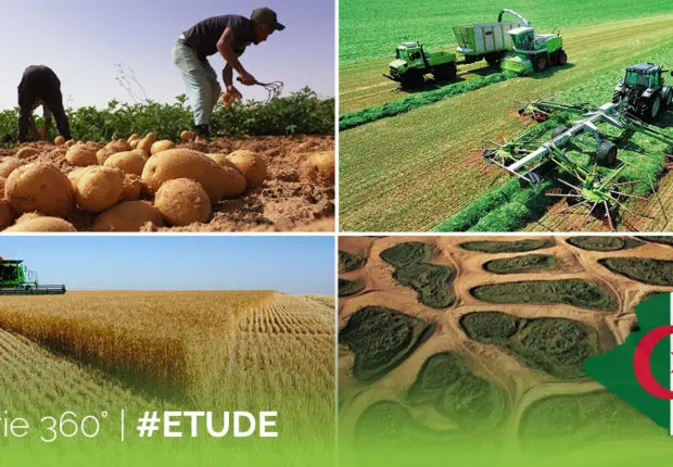 Sécurité alimentaire : l’Algérie pays « modèle » (Forum économique mondial)