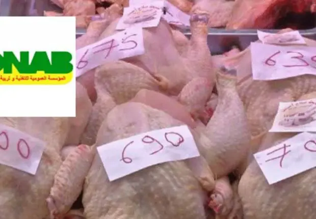Hausse des prix du poulet en Algérie : l&rsquo;ONAB réagit en plafonnant