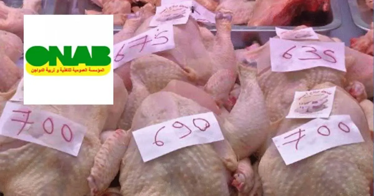 Hausse des prix du poulet en Algérie : l’ONAB réagit en plafonnant