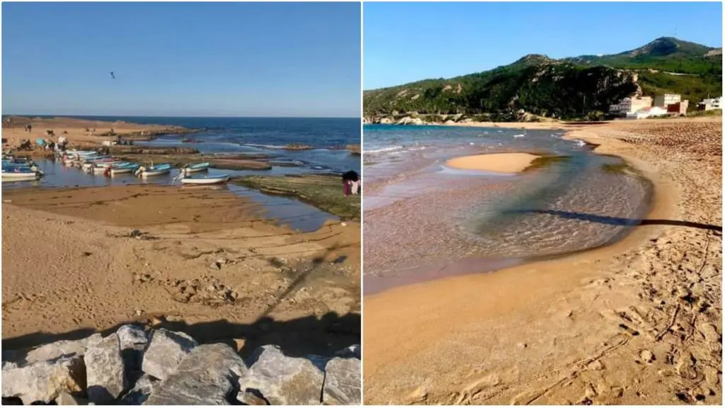 Niveau de la mer qui recule en Algérie : y&rsquo;a-t-il de quoi s&rsquo;inquiéter ?