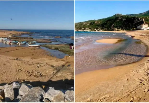 Niveau de la mer qui recule en Algérie : y’a-t-il de quoi s’inquiéter ?