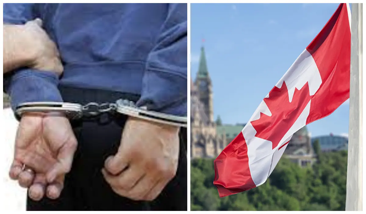 Arnaques à l’immigration : deux personnes arrêtées à Oran