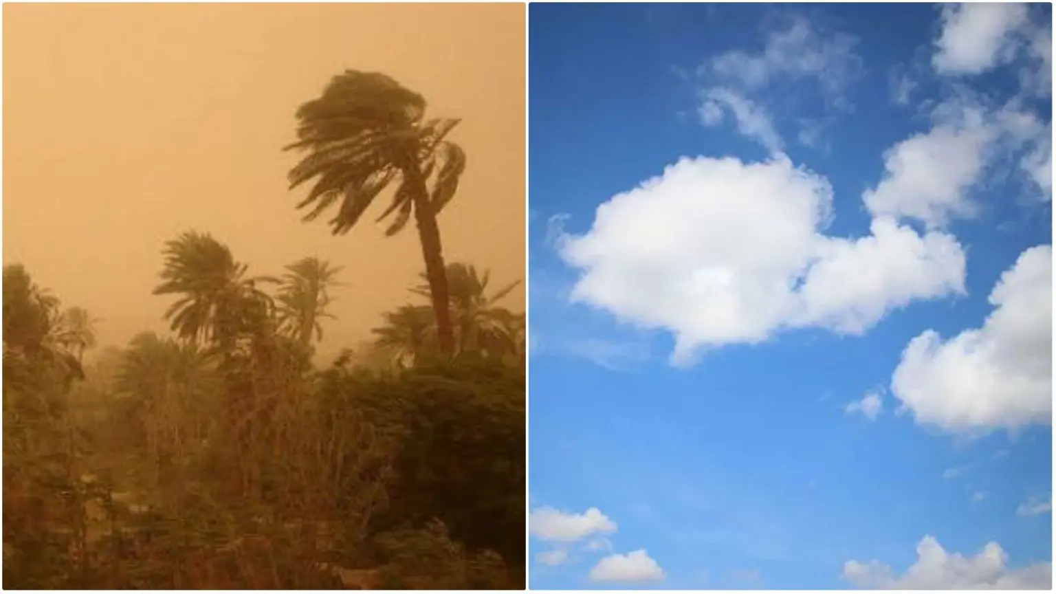 Météo Algérie : alerte vents de sable sur 3 wilayas ce 18 février