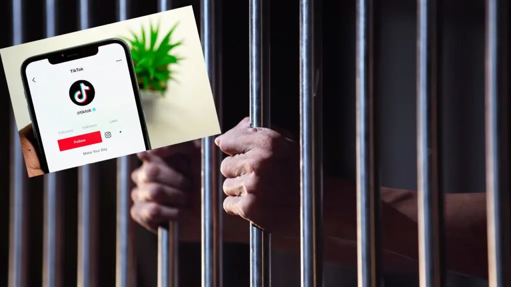 Alger : un vingtenaire risque la prison pour une vidéo Tiktok