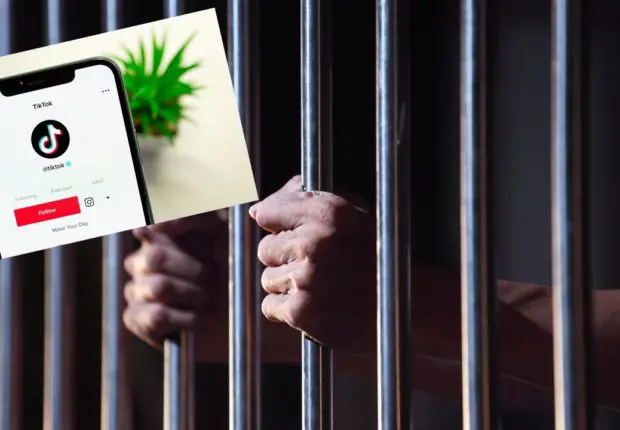 Alger : un vingtenaire risque la prison pour une vidéo Tiktok
