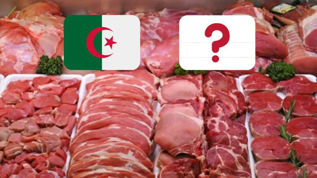Importation de viande – Ramadan 2023 : l’Algérie aurait opté pour ce pays