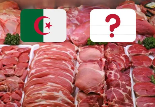 Importation de viande – Ramadan 2023 : l’Algérie aurait opté pour ce pays