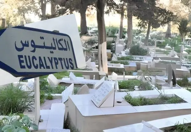 Alger : découverte de deux corps sans vie enterrés aux Eucalyptus