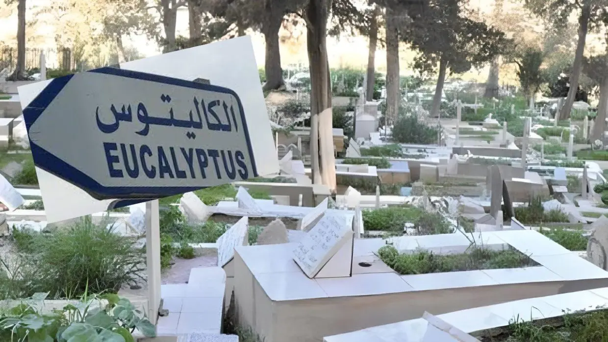 Alger : découverte de deux corps sans vie enterrés aux Eucalyptus
