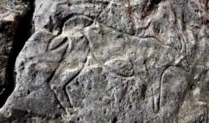 Une gravure représentant une gazelle