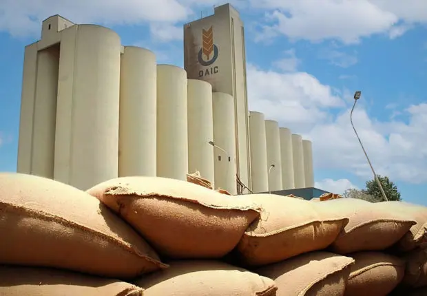 Production et importation de blé – Algérie : quelle stratégie pour 2023 ?