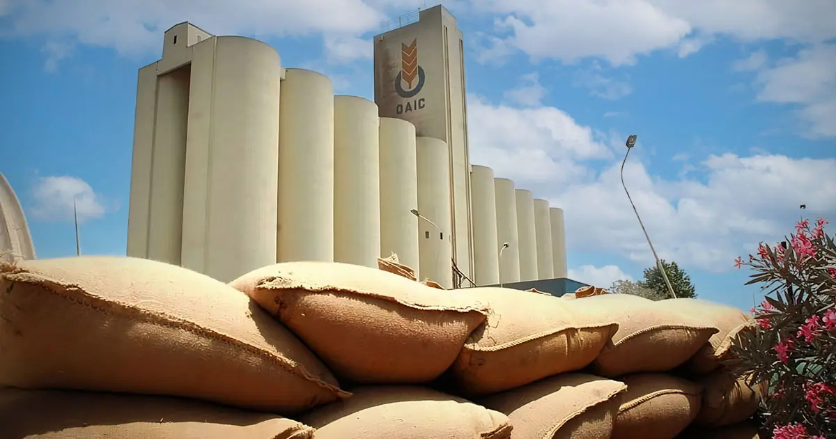 Production et importation de blé – Algérie : quelle stratégie pour 2023 ?