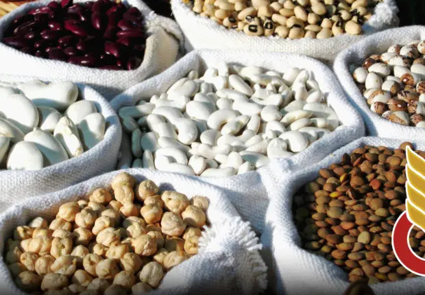 Riz et légumes secs – Algérie : voici les prix officiels de l’OAIC