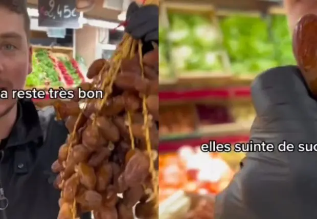 Deglet Nour algérienne : « L’une des meilleures dattes au monde » selon un spécialiste français