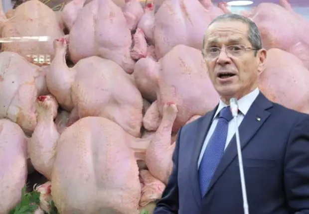 Ramadan 2023 – Disponibilité et prix des viandes blanches : Henni rassure