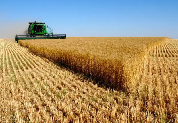 Prix des produits alimentaires : Alors qu’ils flambent en Algérie, la FAO confirme la baisse