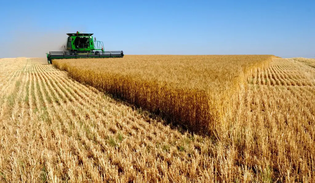 Prix des produits alimentaires : Alors qu’ils flambent en Algérie, la FAO confirme la baisse