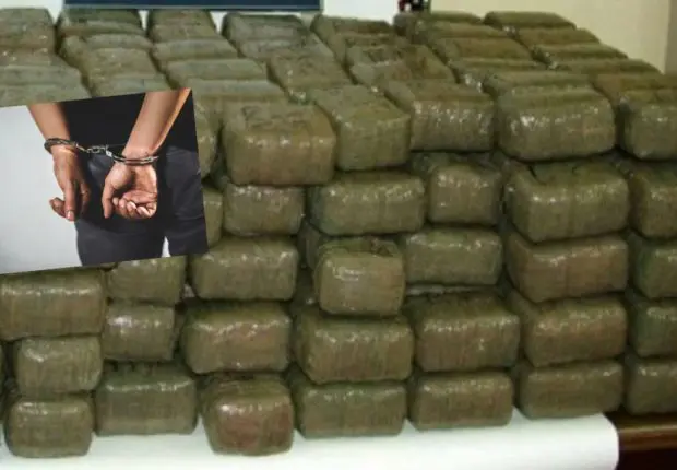 Oran : la GN met fin à l’activité d’un réseau de trafic de drogue international