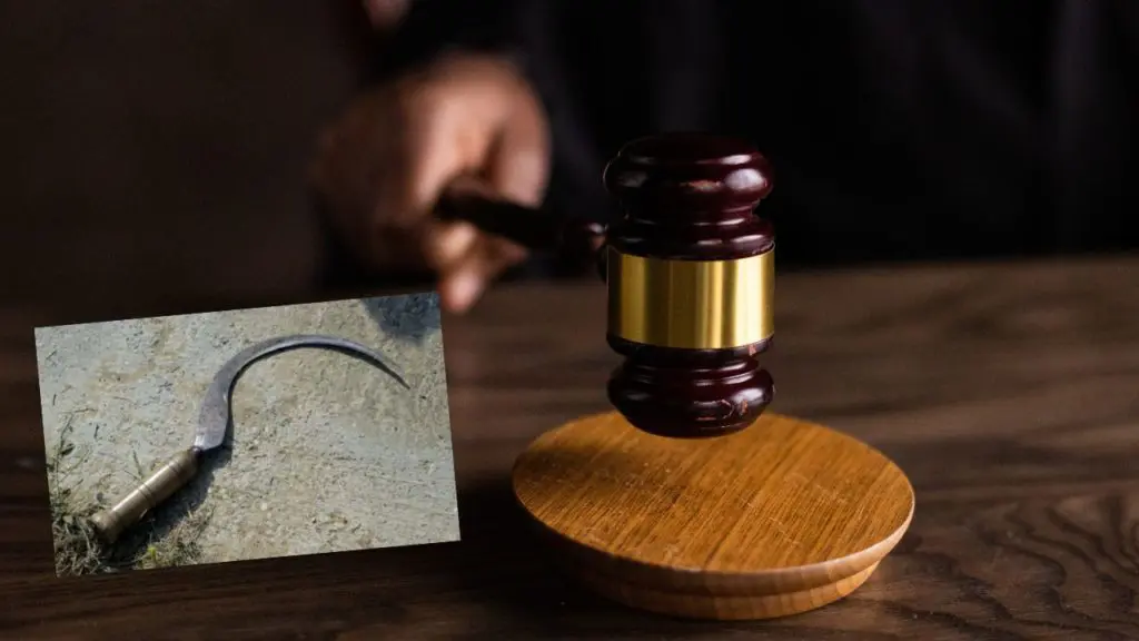Il a tué sa victime avec une faucille : un jeune homme condamné à mort à Tiaret