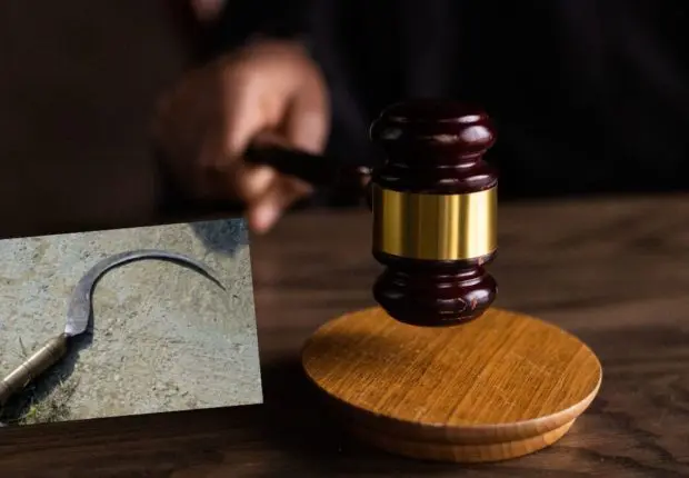 Il a tué sa victime avec une faucille : un jeune homme condamné à mort à Tiaret