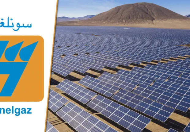 Énergies renouvelables : l’Algérie veut-elle devenir leader ?