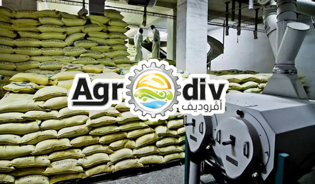 Ramadan 2023 – disponibilité huile et semoule : AGRODIV met les bouchées doubles