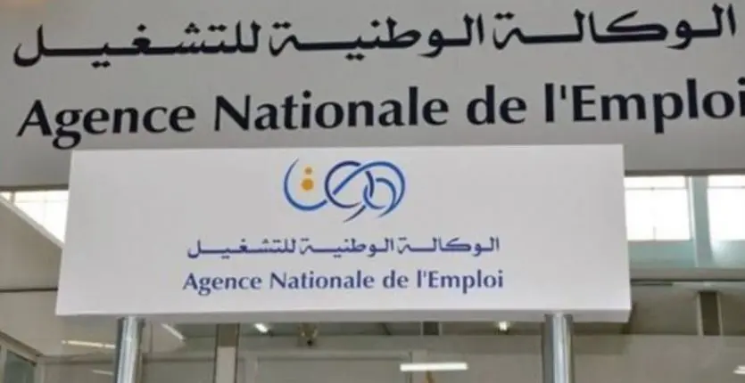 Allocation chômage : le ministre de l’Emploi dévoile de nouveaux chiffres