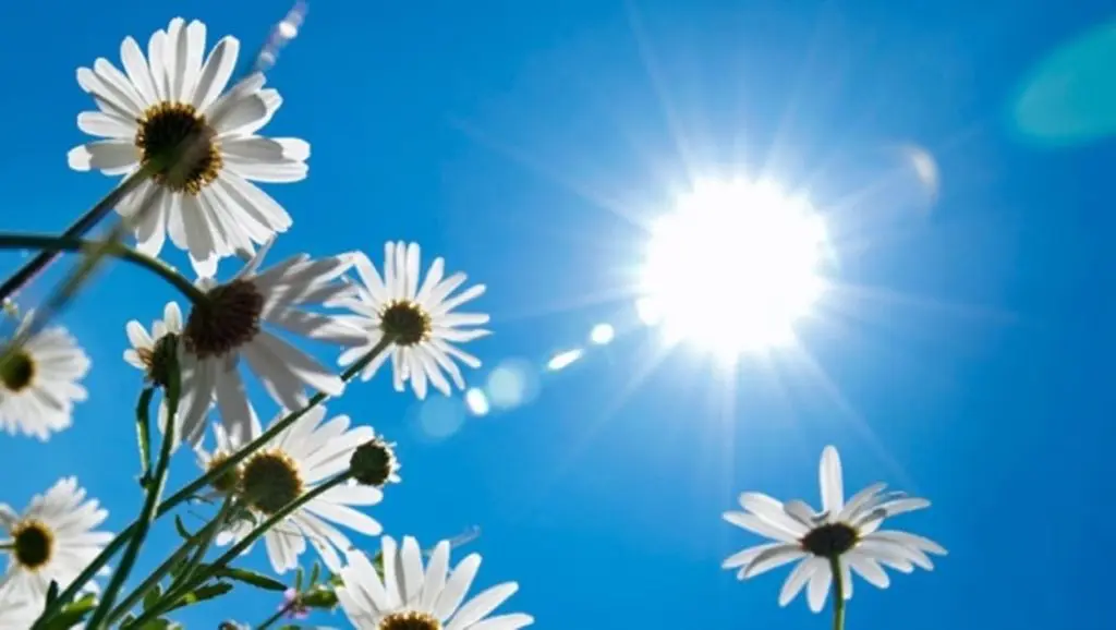 Prévisions météo Algérie : temps chaud et ensoleillé au nord ce 16 mars
