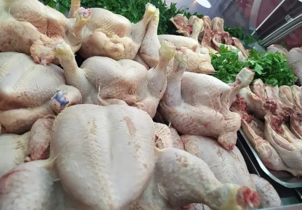 Ramadan 2023 – prix des viandes blanches : réduction de 40% à venir