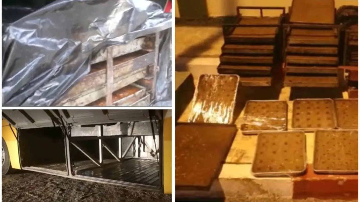 El Oued : 387 kg de « qalb elouz » saisis dans un bus en provenance d’Alger