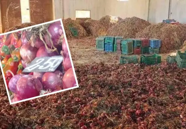 Boumerdes : 28 tonnes d&rsquo;oignon rouge destinées à la spéculation saisies