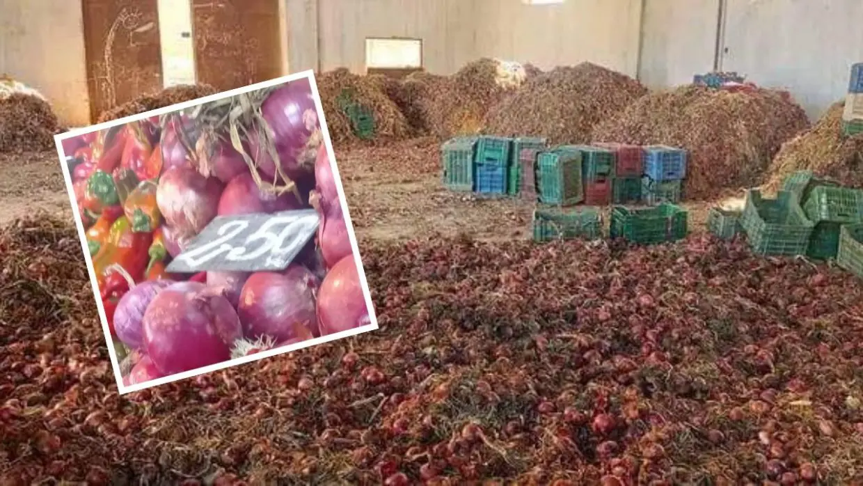 Boumerdes : 28 tonnes d’oignon rouge destinées à la spéculation saisies